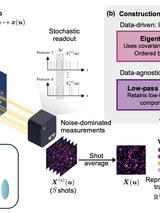 Eigentask representations help in processing noisy optical data